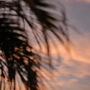 日本强奸乱伦电影中文字幕
