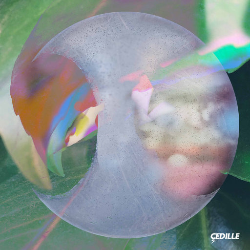 日本强奸乱伦电影中文字幕
